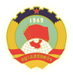 Falcon Surface Logo