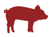 WatchGuard Technologies, Inc.